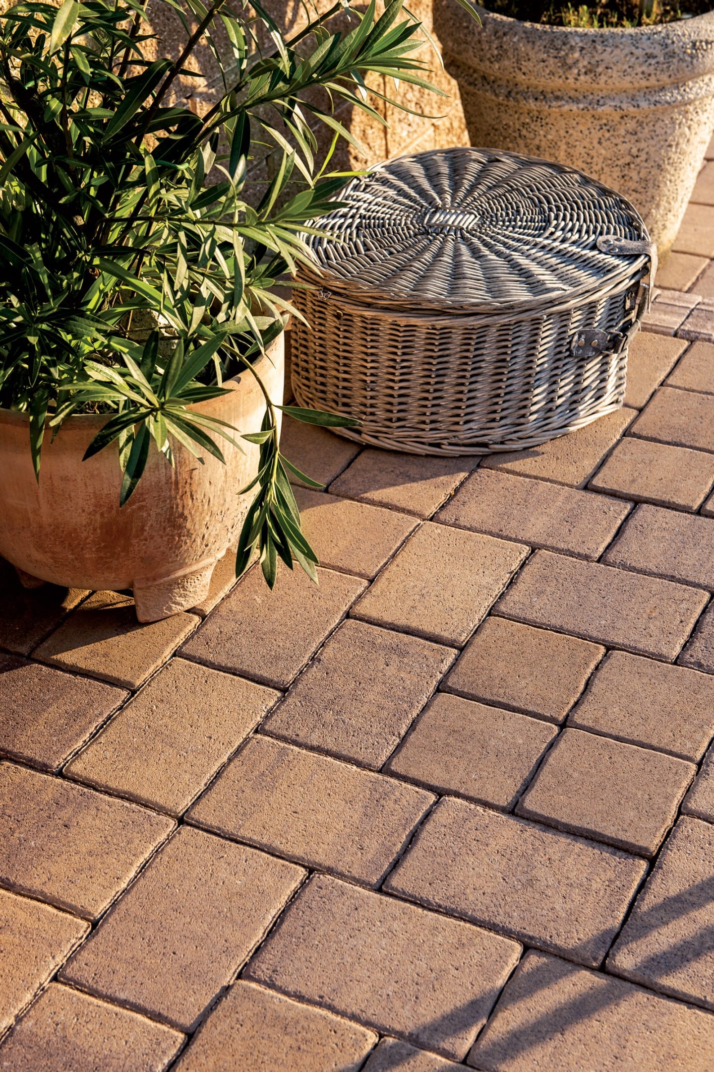 22550704fdf35083631ebc2ee65a2155 ABW Kráľovská 14x14 cm zámková dlažba pieskovo-hnedá – Obrázok 1
